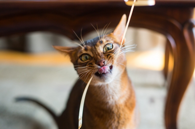 British bloke gets broadband using wet string